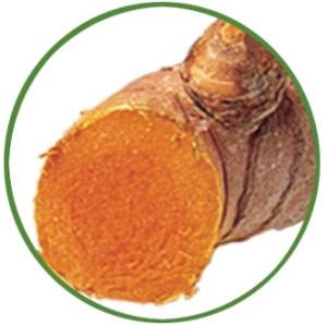 TURMERIC